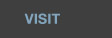 Visit