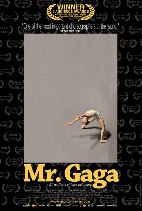 Mr. Gaga movie poster