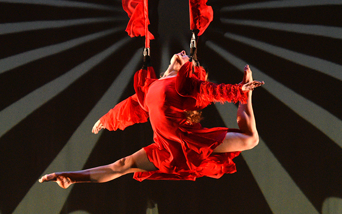 momix-alice-2526-4-700×438-1