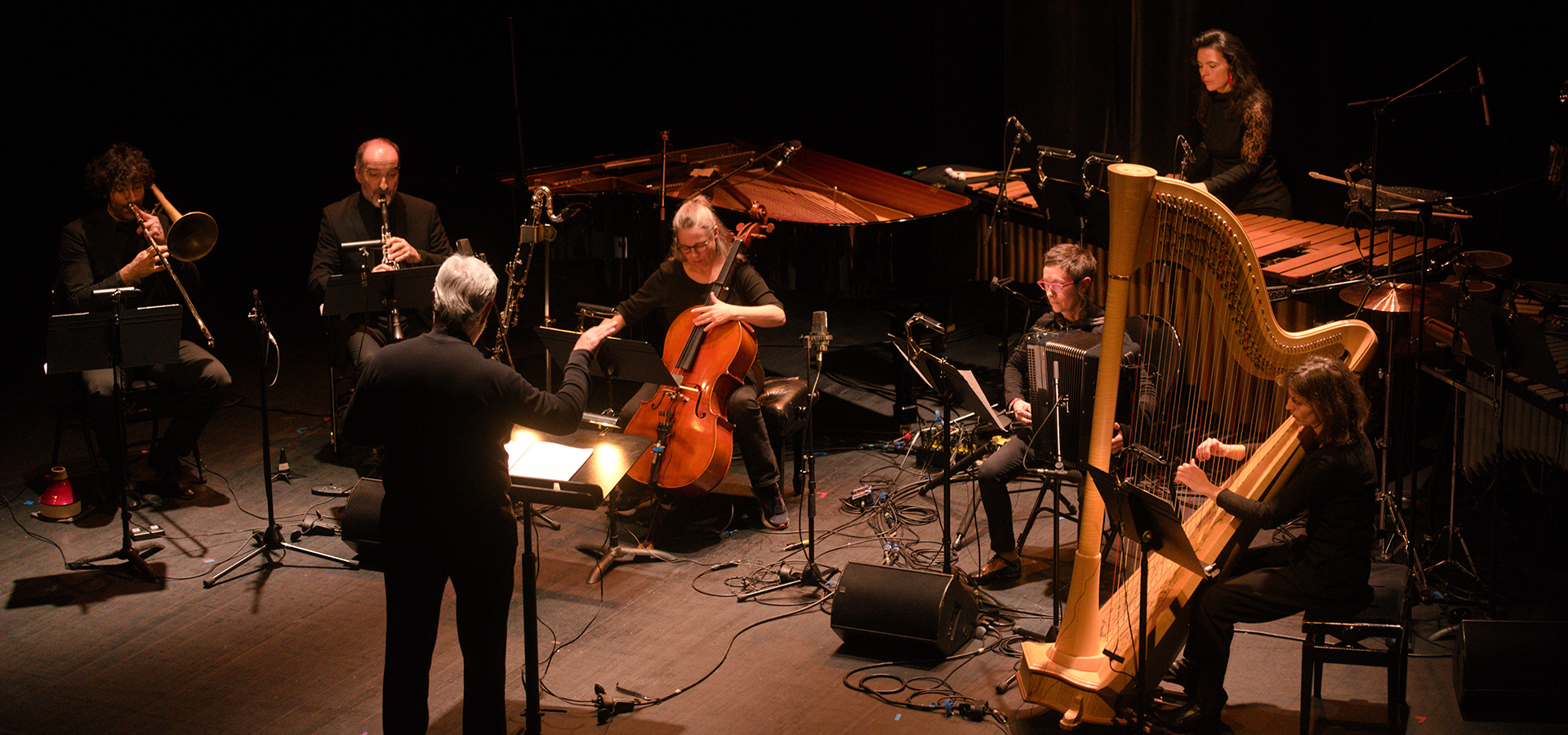 A concert photo of the Eco Ensemble, directed by David Milnes.