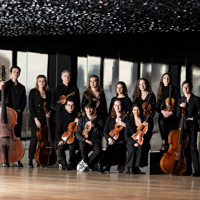The twelve musicians of the Les Arts Florissants group wear black formal dress and pose with their instruments against a metallic backdrop.