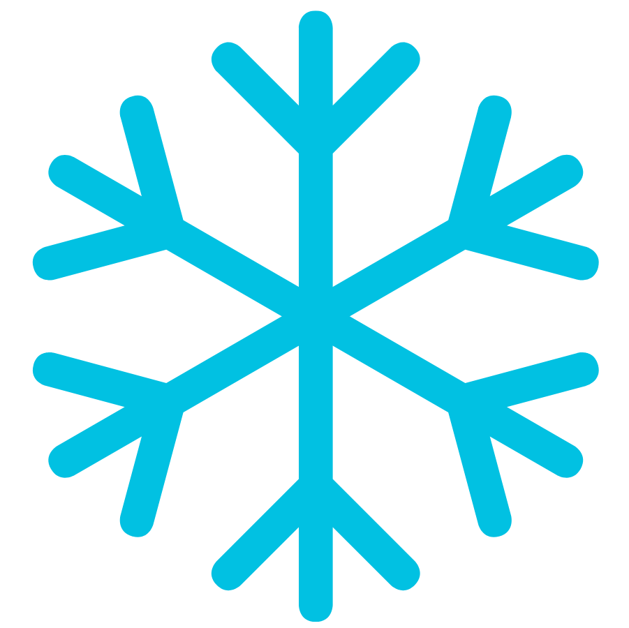 2025 Winter Sale Snowflake Icon